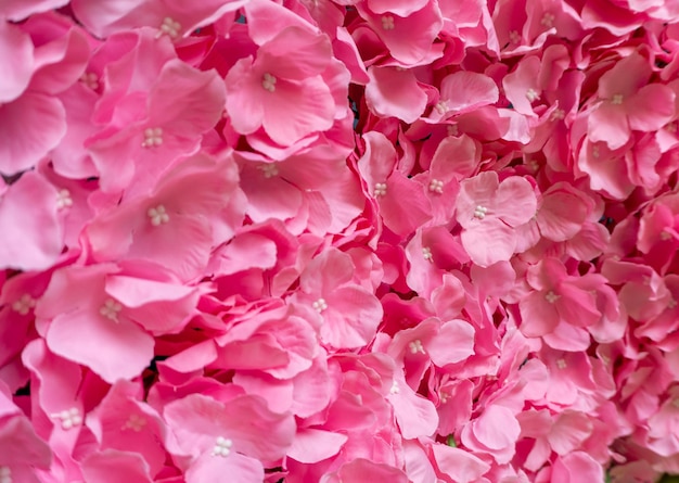 Grupo de varias flores artificiales de sabanakura rosa brillante dispuestas en una fila, fondo de flor rosa.