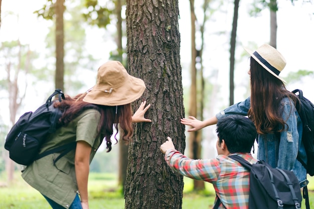 Un grupo de viajeros caminando y explorando un hermoso pino en el bosque.