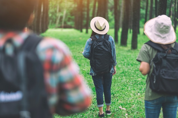 Un grupo de viajeros caminando hacia un hermoso bosque de pinos.