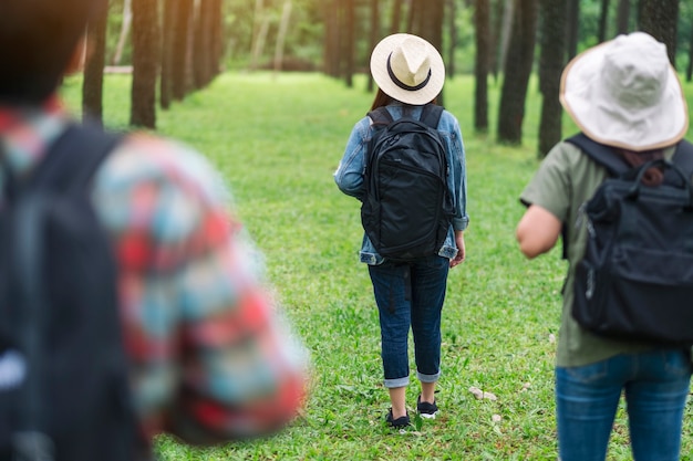 Un grupo de viajeros caminando y mirando hacia un hermoso bosque de pinos.