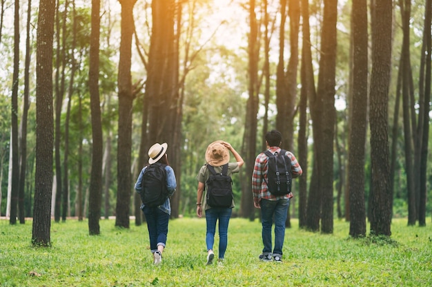 Un grupo de viajeros caminando y mirando hacia un hermoso bosque de pinos.