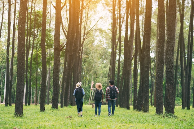 Un grupo de viajeros caminando y mirando hacia un hermoso bosque de pinos.