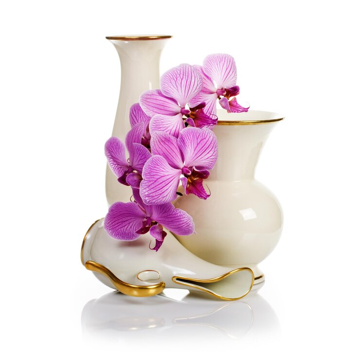 Foto grupo de viejos jarrones de porcelana blanca y flores de orquídea rosa sobre fondo blanco.