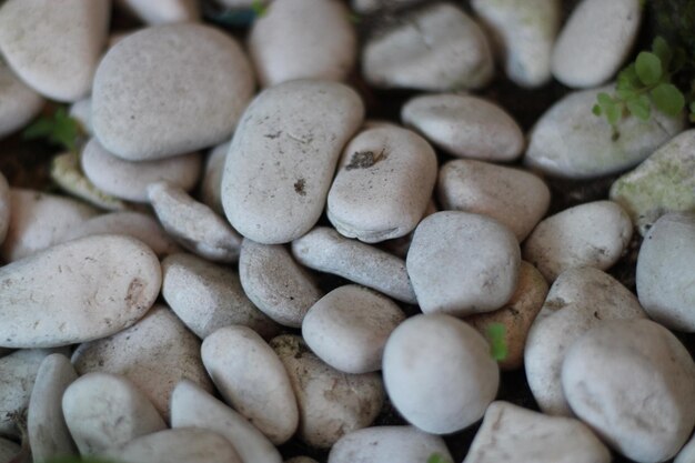 Grupos irregulares de piedras blancas