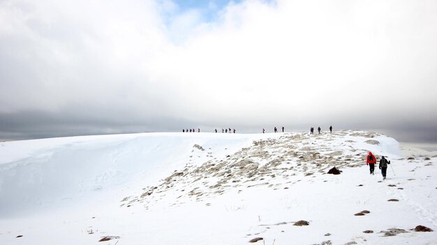 Gruppe Bergsteiger, die durch die mit Schnee bedeckten Berge gehenxAxA