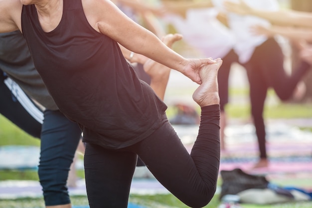 Gruppe der asiatischen Frau Yoga oder Übung im Park tuend