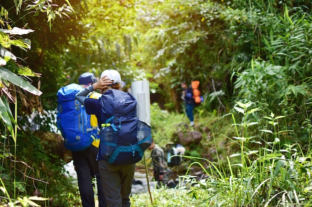 Gruppe des Wanderns gehen in den Wald zum Berggipfel