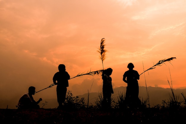 Gruppe glückliche kinder, die auf wiese bei sonnenuntergang, schattenbild spielen