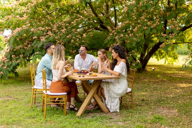 Gruppe glücklicher junger Leute, die mit frischer Limonade jubeln und Früchte im Garten essen