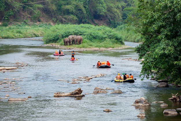 Gruppe junge Leute flößen in einen Fluss.