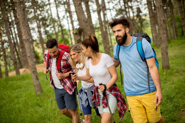 Gruppe junge Leute wandern im Berg am Frühlingstag