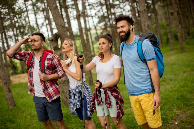 Gruppe junge Leute wandern im Berg