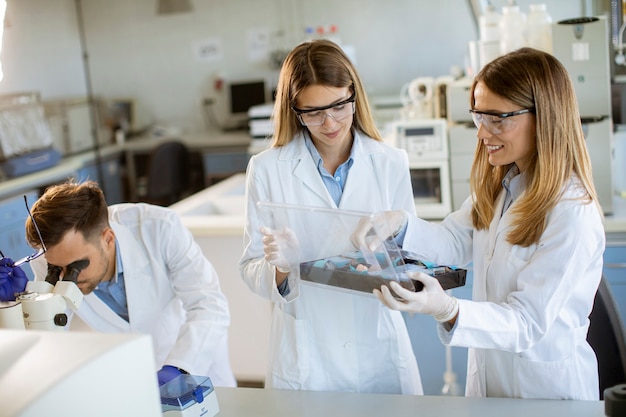 Gruppe junger Forscher, die im Labor mineralchemische Daten analysieren