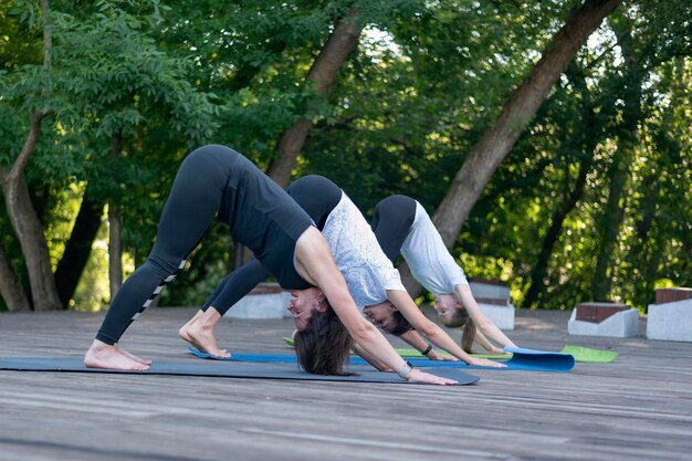 Gruppe junger Frauen in Adho Mukha Svanasana Mädchen üben Yoga in nach unten gerichteter Hundeposition im Park Morgenfitness