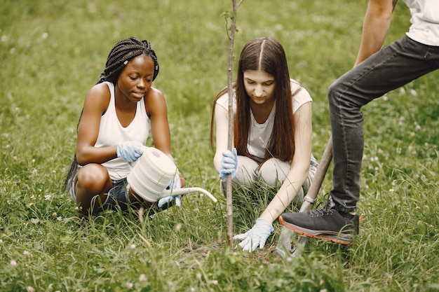 Gruppe junger Freiwilliger im Park. Sie pflanzen einen Baumsetzling.