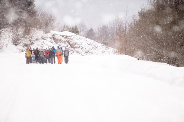 Gruppe junger Geschäftsleute, die während eines Teambuildings im Bergwald durch eine wunderschöne Winterlandschaft mit Schneeflocken spazieren