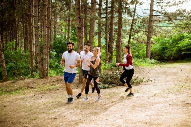 Gruppe junger Leute laufen einen Marathon durch den Wald