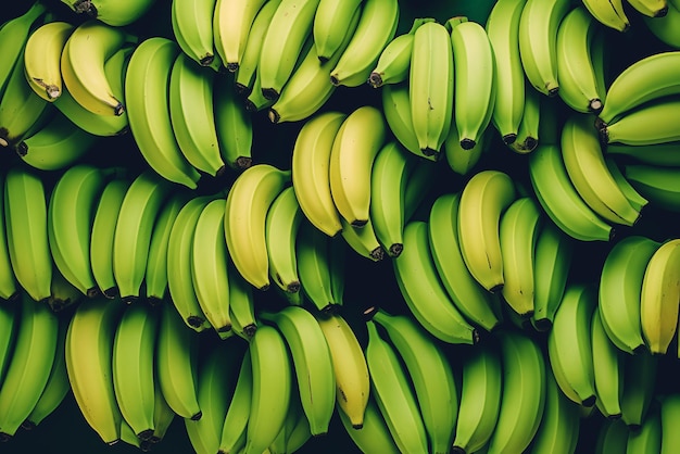 Gruppe unreifer Bananenfrüchte in großem Stapel, Nahaufnahme Rohe grüne Bananen
