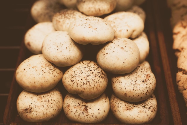 Gruppe verschiedener Kekse Chocolate Chip Haferflocken Rosinen weiße Schokolade