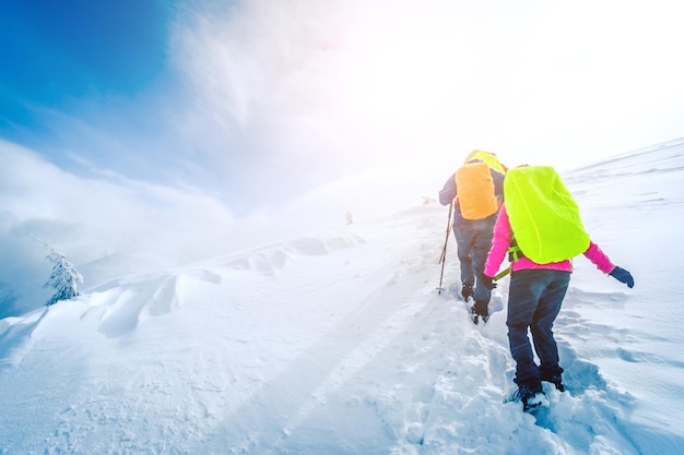 Gruppe von Bergsteigern, die im Winter den Weg gehen