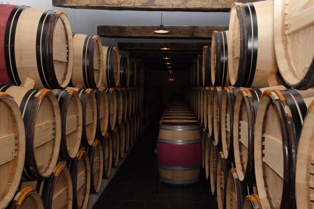 Gruppe von Eichenfässern mit dem Wein im Keller