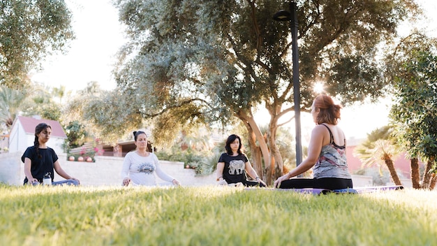 Gruppe von Frauen, die Yoga im Freien in einem Park machen
