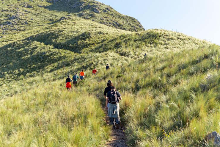 Gruppe von Freunden, die auf einem grünen Berg gegen einen klaren Himmel beim SummerAdventure Concept wandern