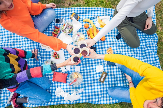 Gruppe von Freunden multiethnic Toasten mit Picknick im Freien