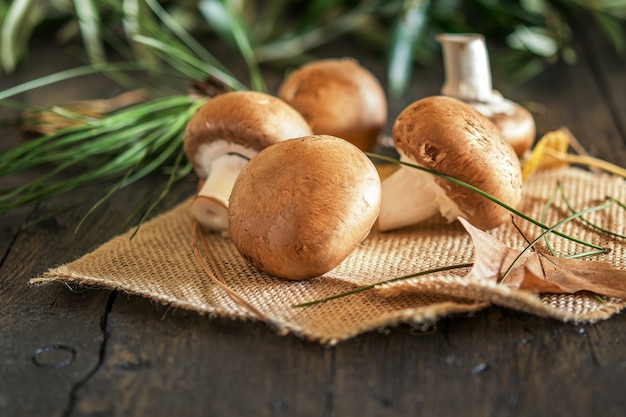 Gruppe von frischen braunen rohen Champignons mit Blättern auf dem Sack und auf dem hölzernen Hintergrund.