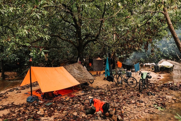 Foto gruppe von menschen auf einem baumstamm im wald