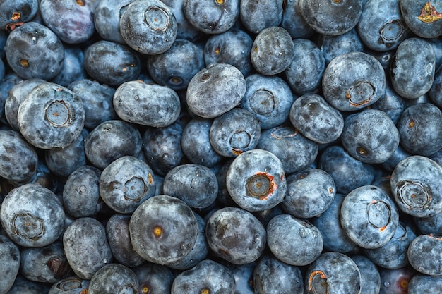 Foto gruppe von reifen blaubeeren mit tropfen wasser auf dem hintergrund