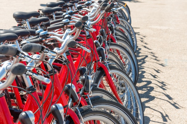 Gruppe von roten Stadtfahrrädern, die auf der Straße parken