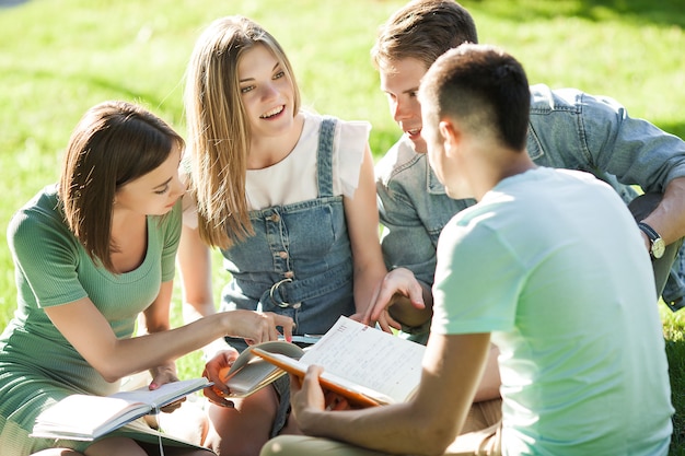 Gruppe von Studenten, die im Freien studieren