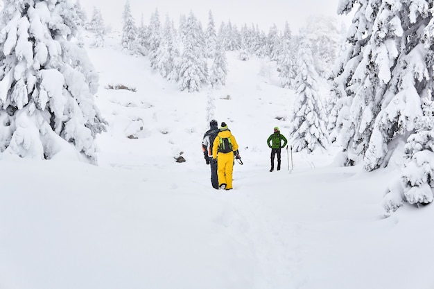 Gruppe von Touristen in einem verschneiten Winterbergwald