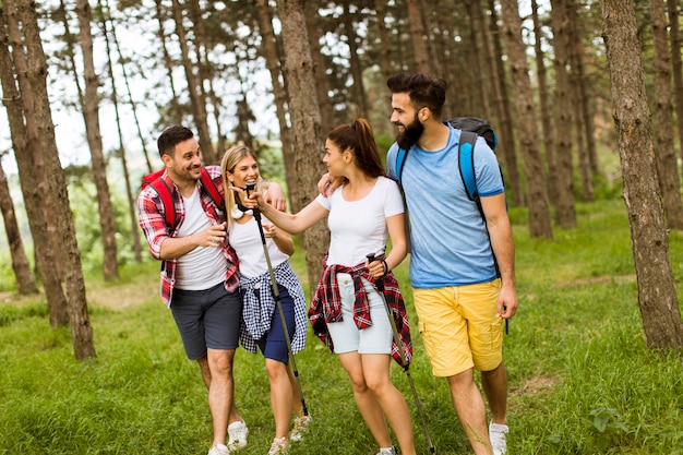 Gruppe von vier Freunden, die zusammen durch einen Wald wandern