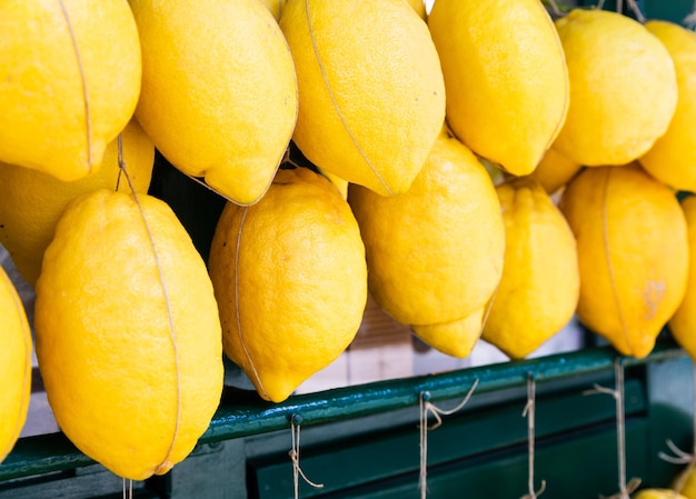 Gruppe Zitronen Konzept der Frische der natürlichen Lebensmittelgesundheit