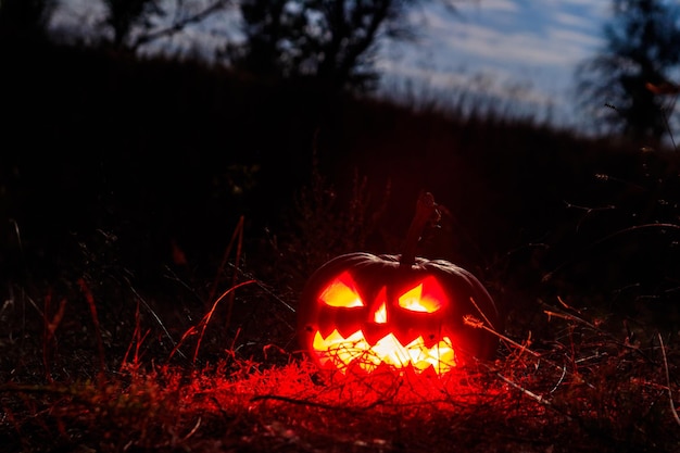 Gruselige Halloween-Kürbis-Jackolantern mit brennenden Kerzen im gruseligen Wald bei Nacht