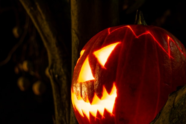 Gruselige Halloween-Kürbislaterne schließen Bild in der Nacht in der Dunkelheit