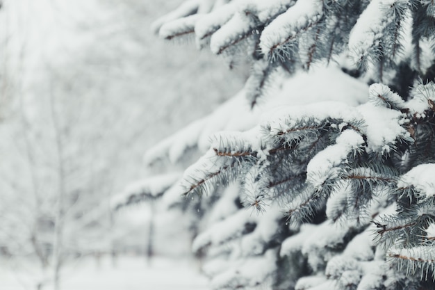 Grußhintergrund der frohen weihnachten und des guten rutsch ins neue jahr. winterlandschaft mit schnee und weihnachtsbäumen