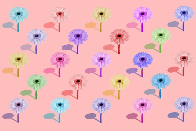 Grußkarte aus Gerbera-Blumen auf pastellrosa Hintergrund