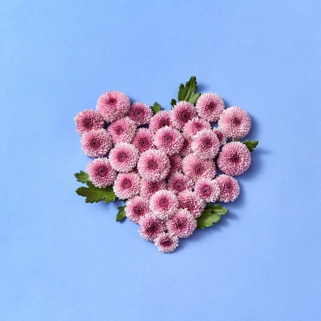 Grußpostkarte mit winterhartem chrysanthemenblumenherz auf einem pastellhintergrund, platz für text. flach liegen.