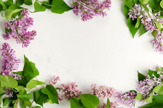 Grußrahmen von frischen lila Blumen mit grünen Blättern auf einem hellgrauen Marmorhintergrund. Draufsicht.