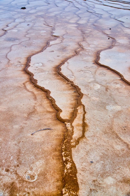 Água alcalina flui sobre terraços únicos na primavera de Yellowstone