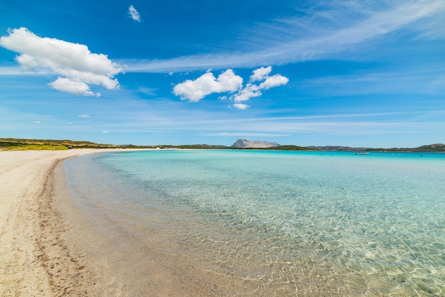 Água clara em Cala Brandinchi Sardenha