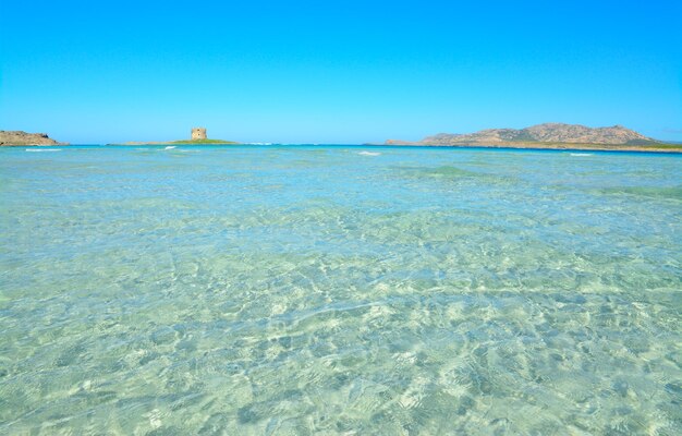 Água clara na praia de La Pelosa Sardenha