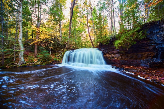 Água corrente rápida de grande cachoeira com penhasco preto e marrom e árvore crescendo em parede na floresta