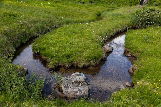 Água cristalina em um riacho de montanha serpenteando pela grama
