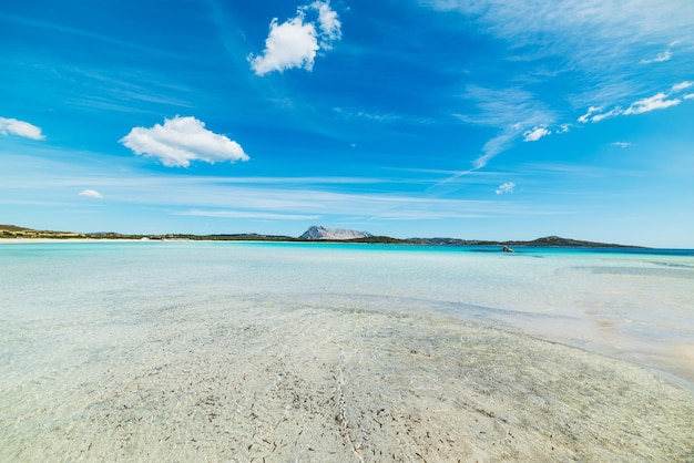 Água cristalina na praia de Lu Impostu Sardenha