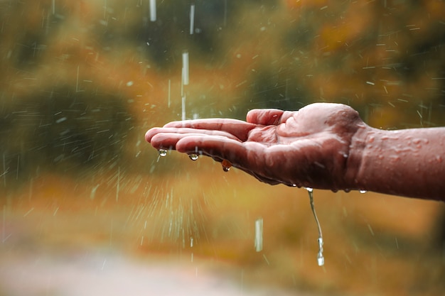 Água da chuva caindo por lado