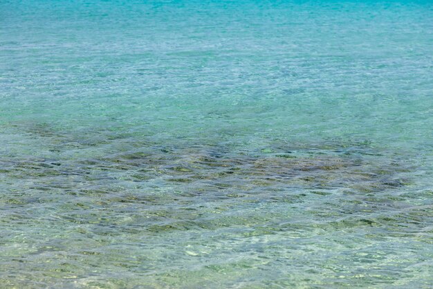 Água do mar fundo azul turquesa vista aérea de seixos e plantas subaquáticas